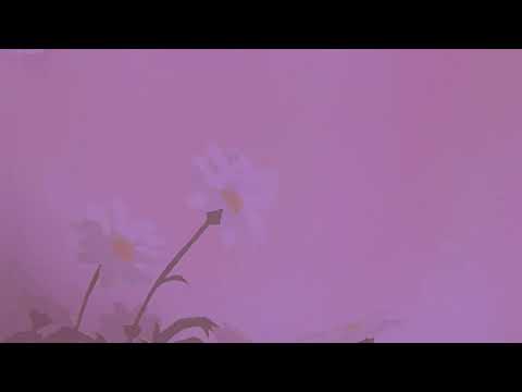 $LASHEDHEART - no love w/ NORUE