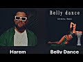 Tzanca Uraganu Belly Dance Harem Mashup