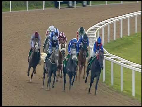 Chelmsford 12th August HH Sheikh Zayed Bin Sultan Al Nahyan Cup Grp 1 PA