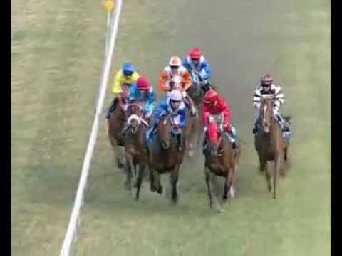 33rd Meeting (05 Nov 2011) - Race 7 Winner: DEMOCRATIC MAN (iDates.mu)