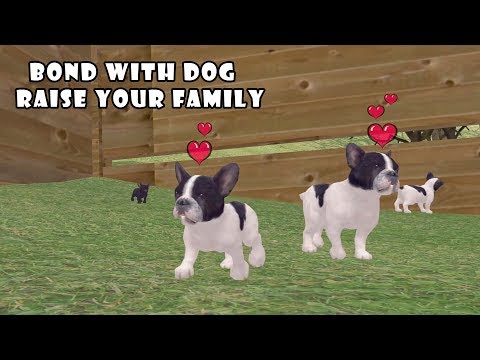 Ultimate Dog Simulator (by Gluten Free Games) - Part 6 - Android Gameplay [HD] - YouTube