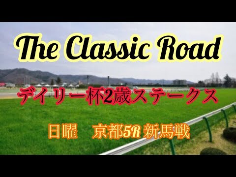 デイリー杯2歳ステークス　日曜　京都5R新馬戦　調教短評　The  Classic Road