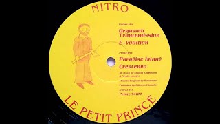 Nitro - E-Volution (Acid Trance 1994)
