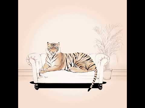 yordan jara aka haven haven´t - bengala