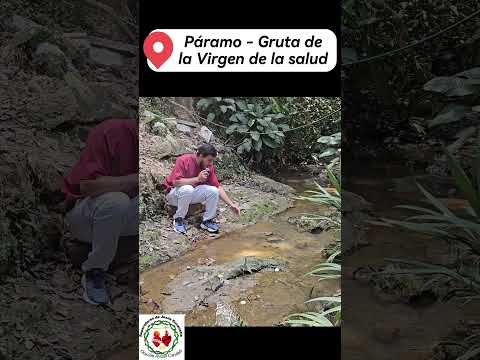 3 NUESTRA SEÑORA DEL PÁRAMO DE LA SALUD, SANTANDER COLOMBIA  #virgenmaria #fe #oracion #catolico