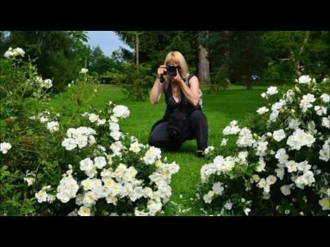 SONJA - NACE JUNKAR, 1990