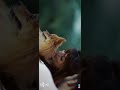 Ishare Teri Karti Nigah Whatsapp Status