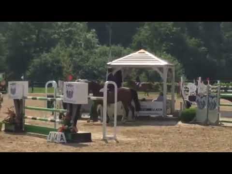 Joyce de Reve(+French Look van Erpekom) ☆☆ (NABAB DE REVE x KARANDASJ) - Video 6 video thumbnail