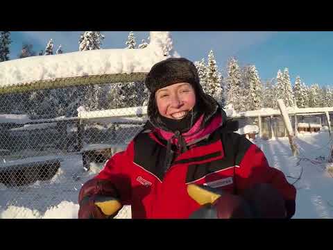 download lagu mp3 mp4 Artisan Travel Finland, download lagu Artisan Travel Finland gratis, unduh video klip Artisan Travel Finland