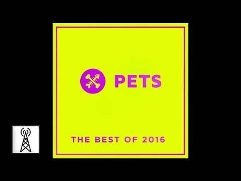 Sierra Sam - The Residue