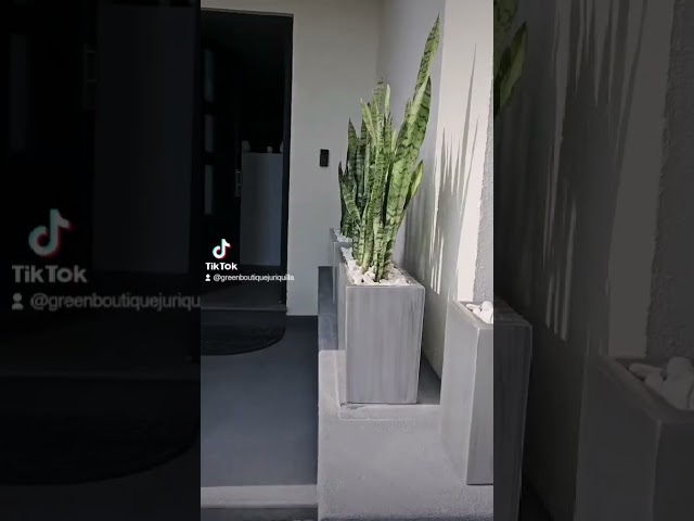 Vídeo relacionado con Classic Home & Garden Maceta clásica para el hogar y el jardín, Luces del Norte, Shaina de 15 Pulgadas