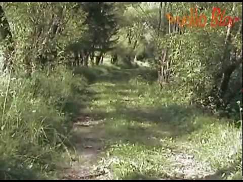 Platonesti, Runc, Sarmas, Hodosa, Subcetate, Filpea, Toplita