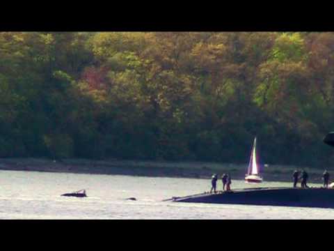 walrus Dutch submarine