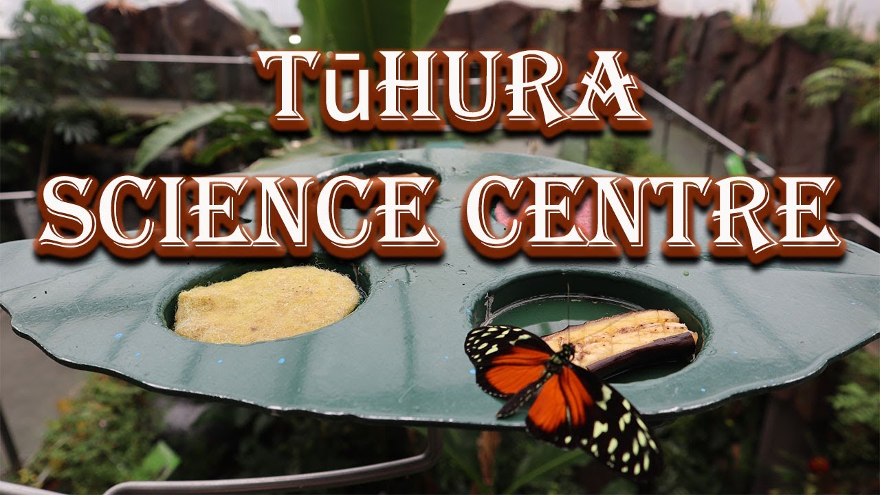 Tūhura Otago Museum promises an unforgettable learning experiences