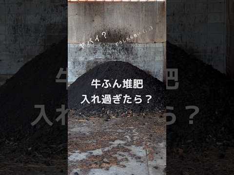 自家製天然肥料のレシピ小麦粉昆布骨種子綿豊作トマト