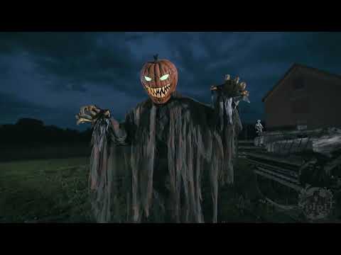 Tragedy Strikes at Spirit Acres Farm Music Only