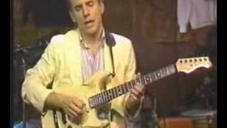 Larry Carlton - Emotions wound us so (live Last Nite album)