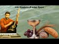 En Nenjam Nee Vantha Neram RC Christian Song Thiruvirunthu Paadal