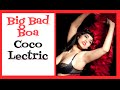 CoCo Lectric Big Bad Boa Classic Striptease