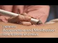 Japanese Acupuncture and Moxibustion: How It Works