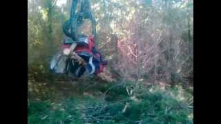 preview picture of video 'Waratah 618c in Clearfell.mp4'