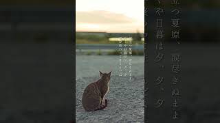 - 【男性が歌う】夜行(ヨルシカ) - covered by sawa