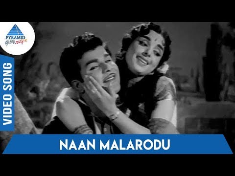 Iru Vallavargal Tamil Movie Songs | Naan Malarodu Video Song | TMS | P Susheela | Vedha