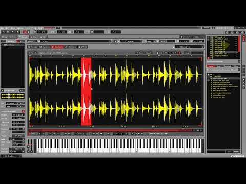 Medonist - Speedcomp 47 [10 samples / 30 minutes] Renoise 3.3 Samples by Synchromute