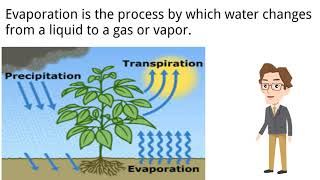 Evapotranspiration