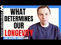 What Determines Our LONGEVITY Dr David Sinclair Interview Clips