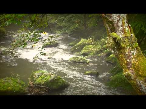 Der Goldsteig: Deutschlands längster und vielfältigster Fernwanderweg