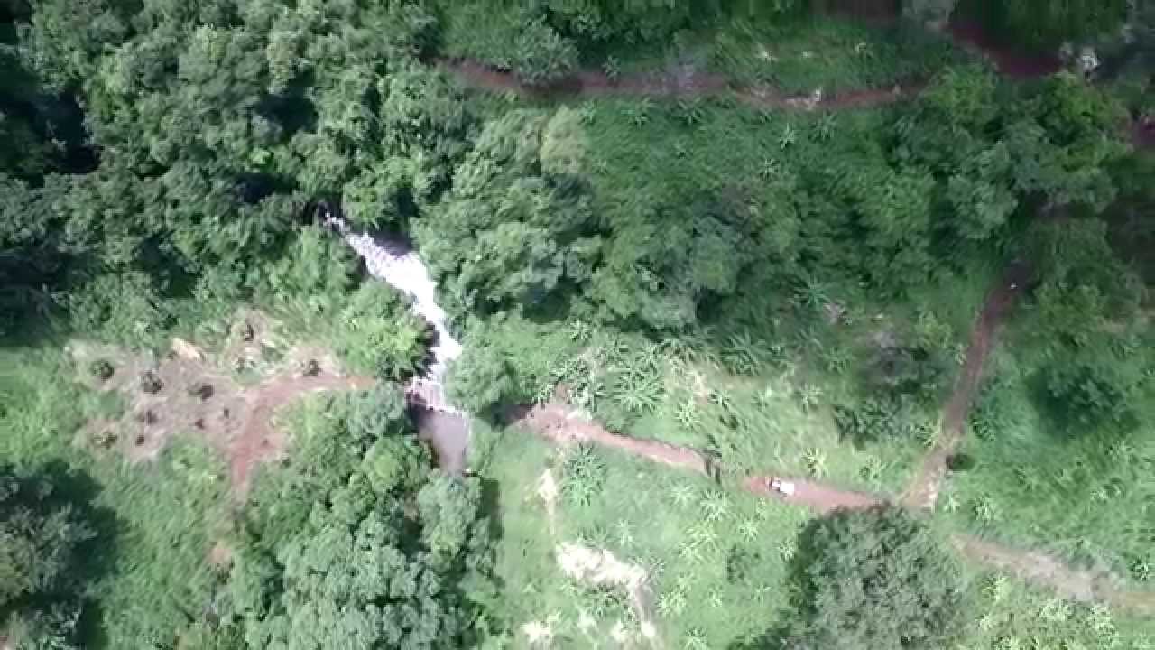 Mondulkiri Elephant & Wildlife Sanctuary - Day tour jungle trekking