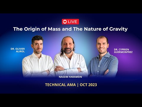 The Origin of Mass - Technical Review of the paper