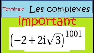Vignette vidéo de l’exercice 24