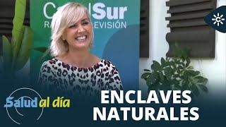 Thumbnail del capítulo