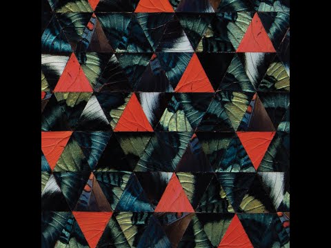 Julian Lage & Kris Davis - Diatom Ribbons Live at the Village Vanguard (Full Album)