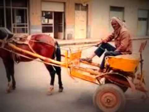 Jemal Romodan New Song 2013    Beal Karosa    Asmerino Bela )