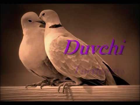 Duvchi - Turtleduvs (Lyrics on screen)