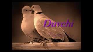Duvchi - Turtleduvs (Lyrics on screen)