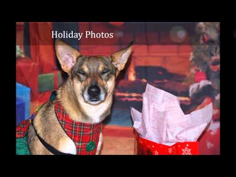 3rd Annual disABLED Pet Rally 2014