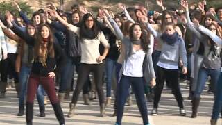 preview picture of video 'Institut de Flix. Flashmob per la Marató de TV3 2012'