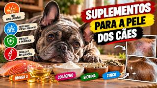 A FORMA MAIS FÁCIL DE ACABAR COM A COCEIRA DO CACHORRO