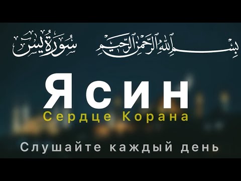 Ясин (СЕРДЦЕ КОРАНА) СЛУШАЙТЕ КАЖДЫЙ ДЕНЬ. будет БАРАКАТ КАЖДЫЙ ДЕНЬ 🤲🏻