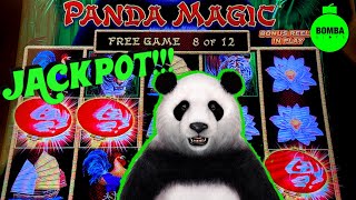 ALBERT!! JACKPOT!! A POSTCARD from Hard Rock Punta Cana! 🏝️ #Casino #HardRock #RoomTour #SlotMachine