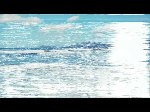 Holiday~ Pulau Merah Banyuwangi