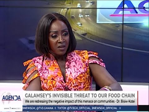 Must I Drink Contaminated Water? – Bissiw Fumes Over Galamsey