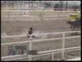 Funny Cowboy Video