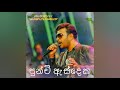 Punchi Asdeka Roshan Fernando