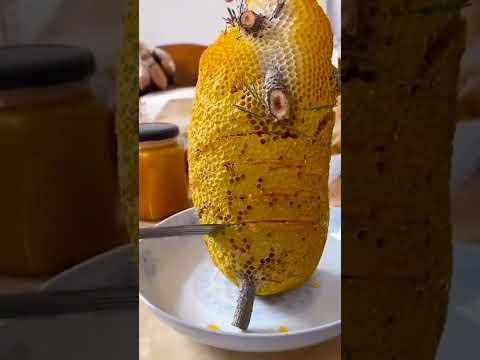 enak banget Madu Asli #madualami #madusarang #sarangmadumurni