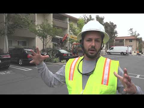 Wise Solar Short News Video